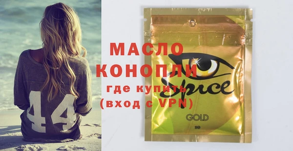 мдпв Гусев