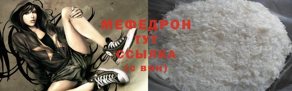 мдпв Гусев
