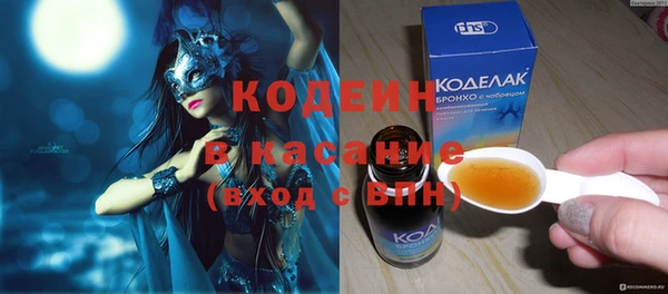 мдпв Гусев