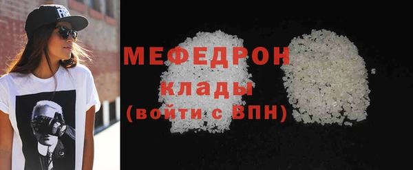 мдпв Гусев