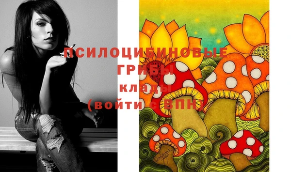 мдпв Гусев