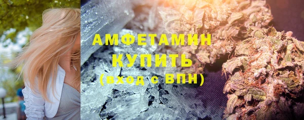 мдпв Гусев