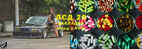 мдпв Гусев