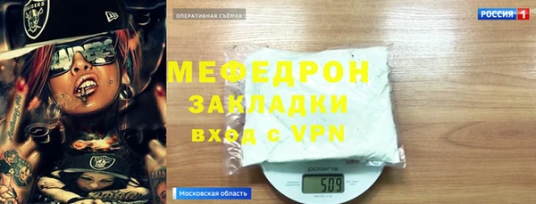 мдпв Гусев