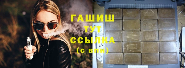 мдпв Гусев